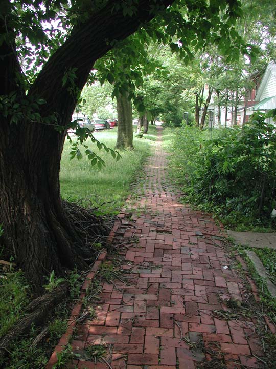 P6010007