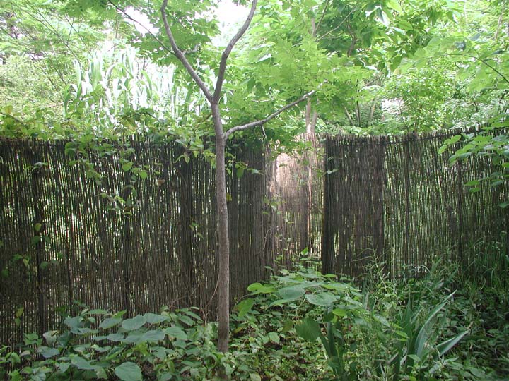 P6010011