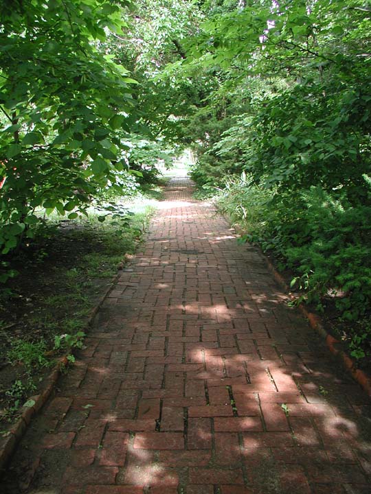 P6010014