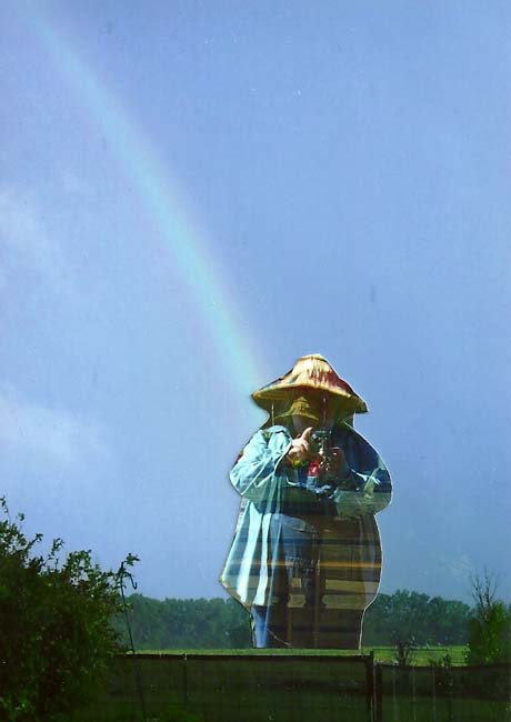 3rainbowpot