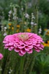 IMG_0783