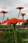 IMG_0786