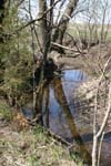 dogcrick117