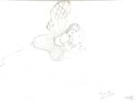 ARTWORK 81