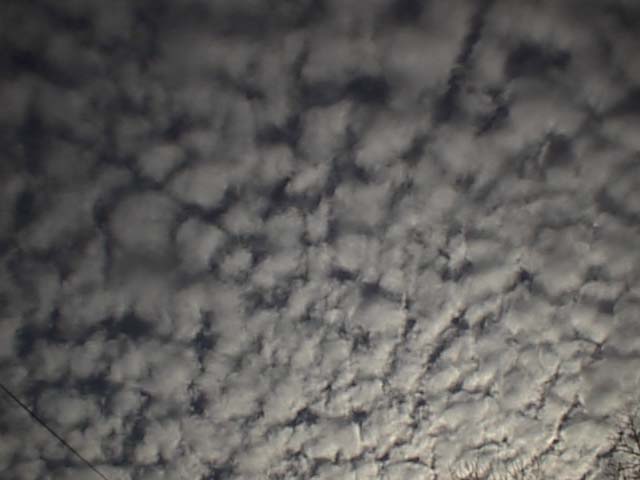 PSN00007_205
