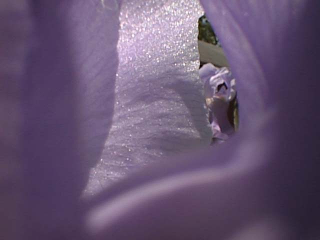 PSN00007_219