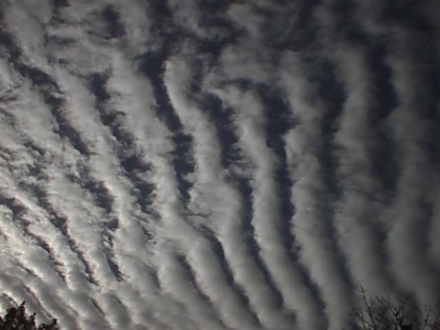 PSN00008_119