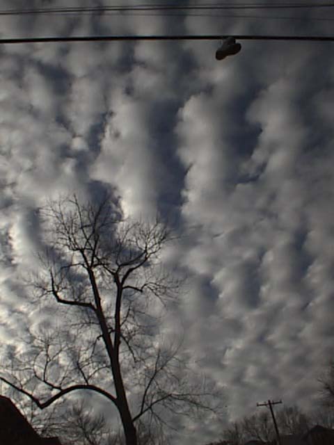 PSN00008_202