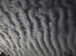 PSN00008_119