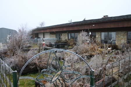 IMG0009