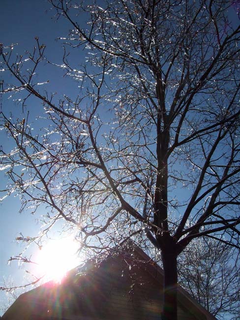 spring4ice010