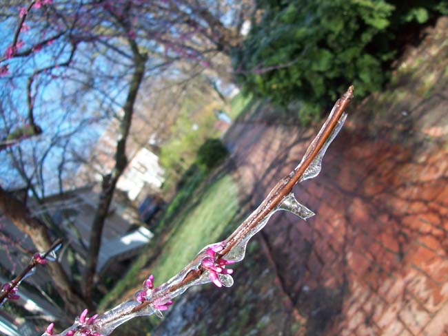 spring4ice028