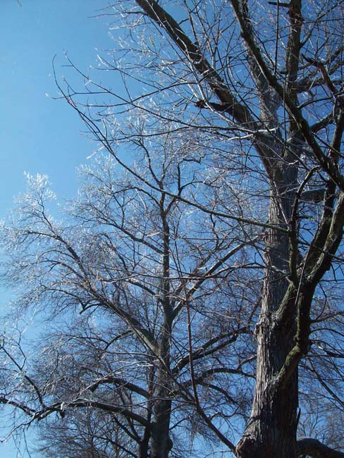 spring4ice061