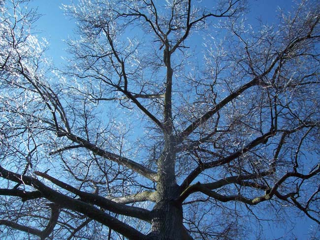 spring4ice063