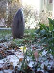 spring4ice005