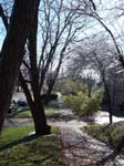 spring4ice019