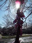 spring4ice025