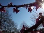 spring4ice026