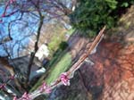 spring4ice028