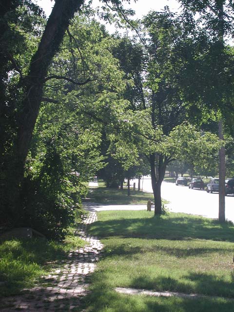 dars080808003