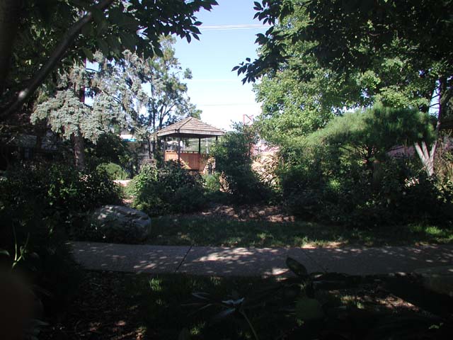 dars080808022