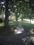 dars080808005
