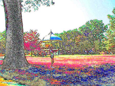 littlefiddlelitecurvelite