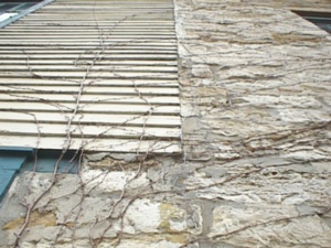 thm_PSN00015.jpg