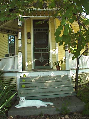 psn00592