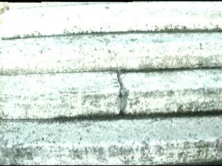 thm_DZLB001.jpg
