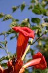 IMG_4726