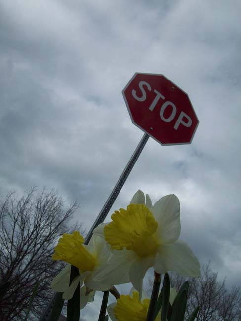 spring2018