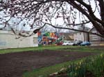 spring1021