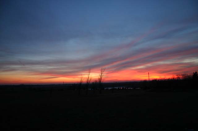 IMG_3695
