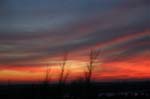 IMG_3699