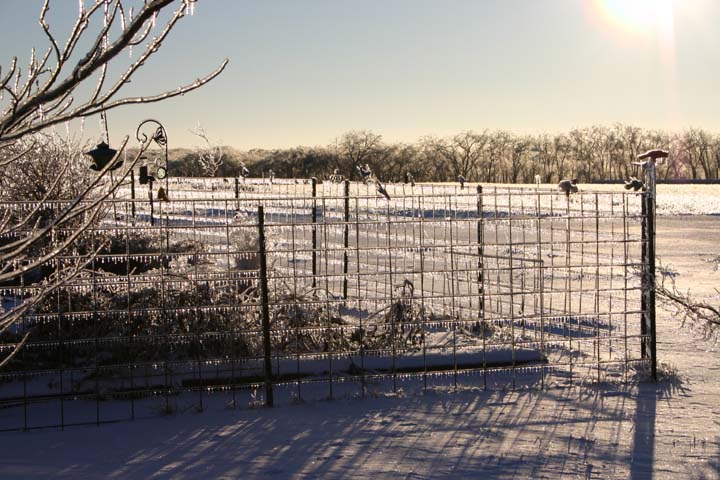IMG0005