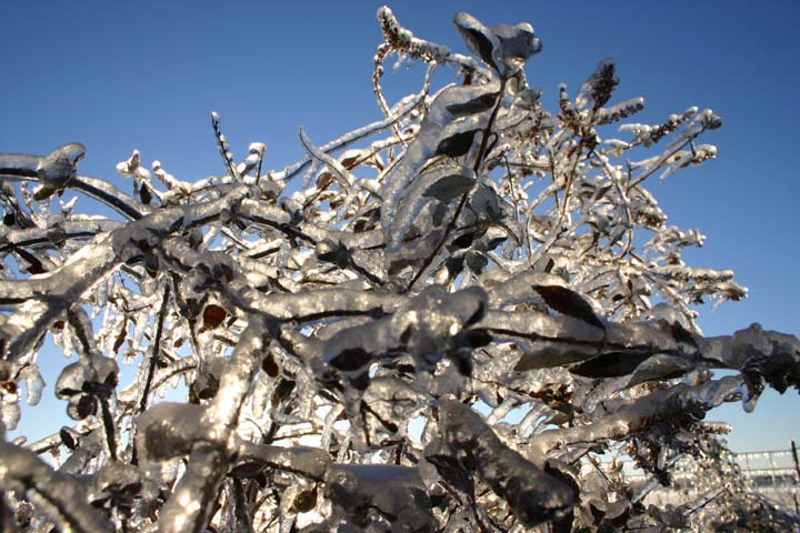IMG0017