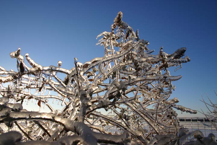 IMG0018
