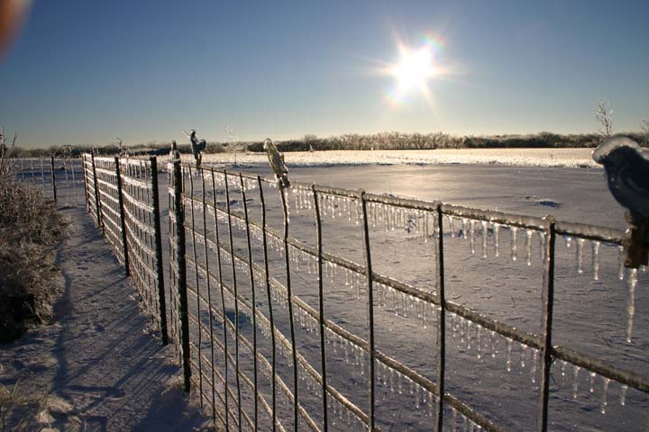 IMG0027