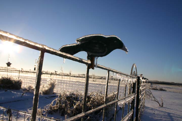 IMG0033