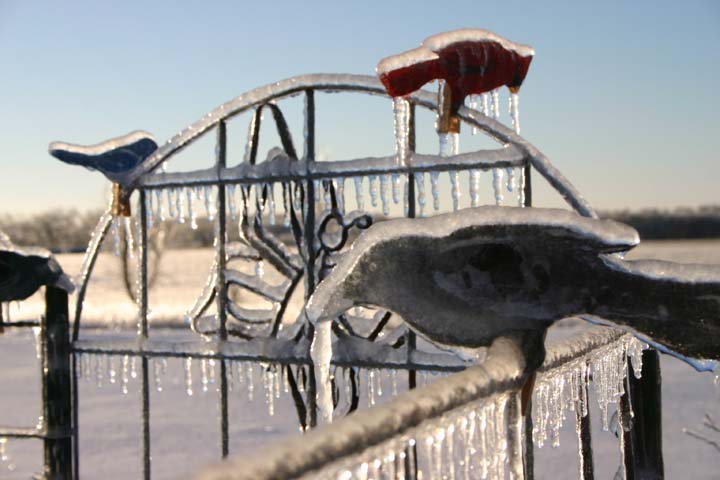 IMG0039