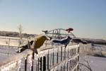 IMG0034