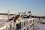IMG0036
