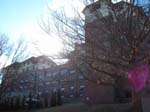 walkdowntown002