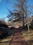 walkdowntown003