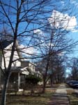 walkdowntown008