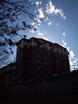 walkdowntown018